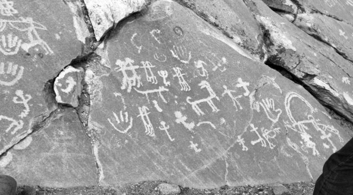 Нидое аз сангнавиштаҳо: «Моро ҳифз кунед!»